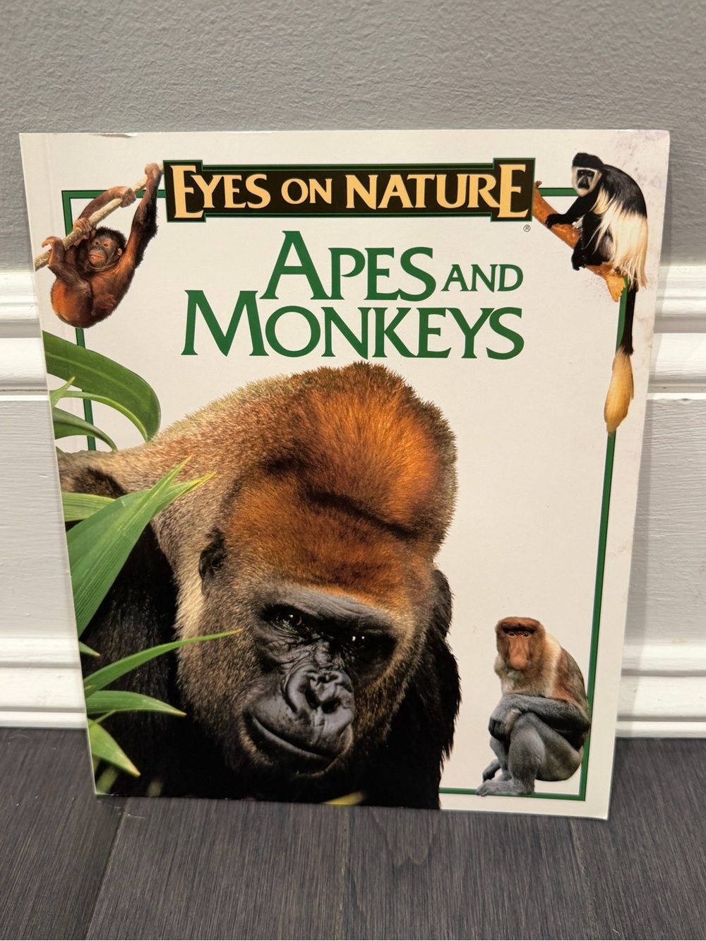 VINTAGE 1997 Eyes on Nature: Apes and Monkeys Softcover Book for Kids
